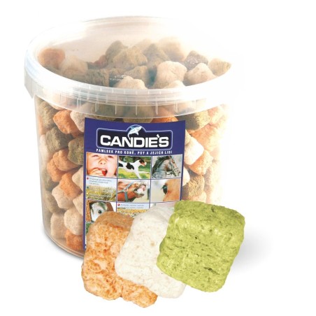 Candie's horse MIX